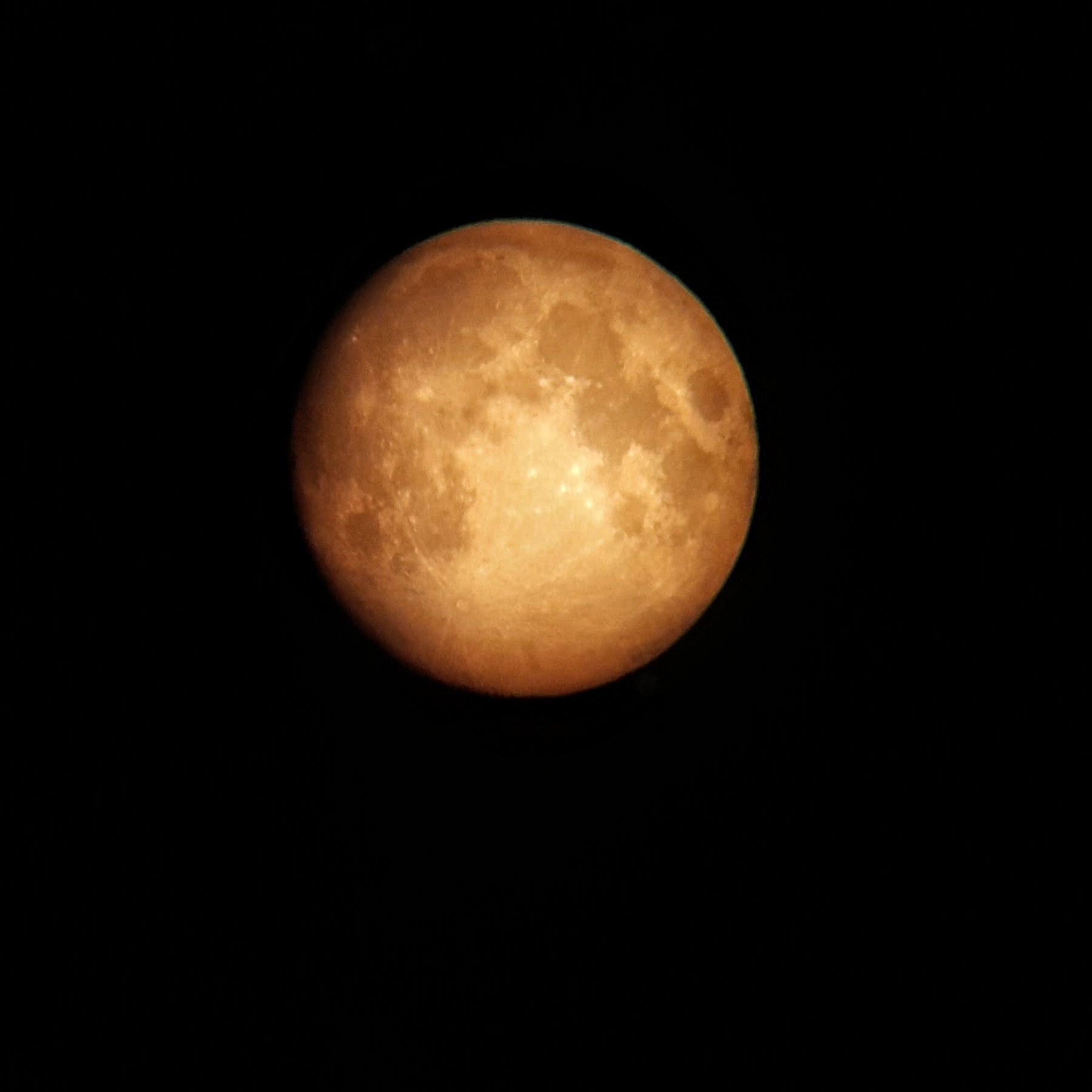 First Moon-shot